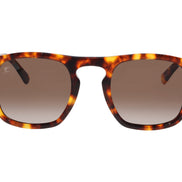 Dundee 3 Zm -Francois Pinton Sunglasses image 0