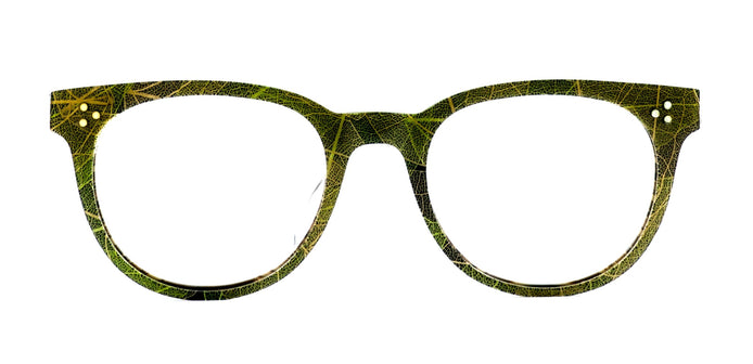 Bantry BN4 - David Green Eyeglasses image 0
