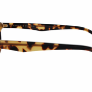 Chicago Zz - Francois Pinton Sunglasses image 2