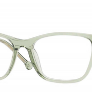 Niveau 25 - Monkeyglasses Eyeglasses image 1