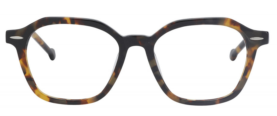 Vasa 108 (46) - Monkeyglasses Eyeglasses image 0