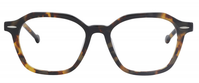 Vasa 108 (46) - Monkeyglasses Eyeglasses image 0
