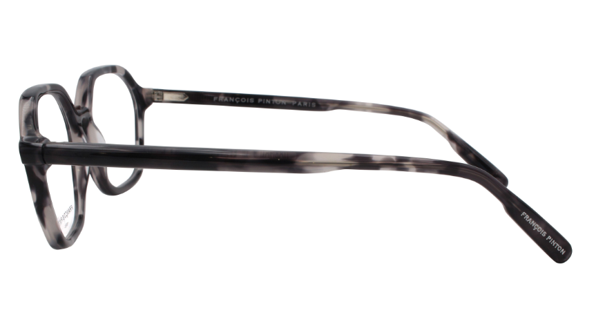 Horizon 03 Ni - Francois Pinton Eyeglasses image 2
