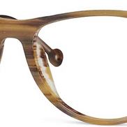 Camel 06 - Monkeyglasses Eyeglasses image 1
