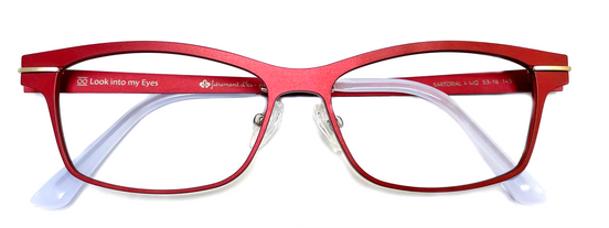 SARTORIAL 4 RQ - Look into my Eyes image 0