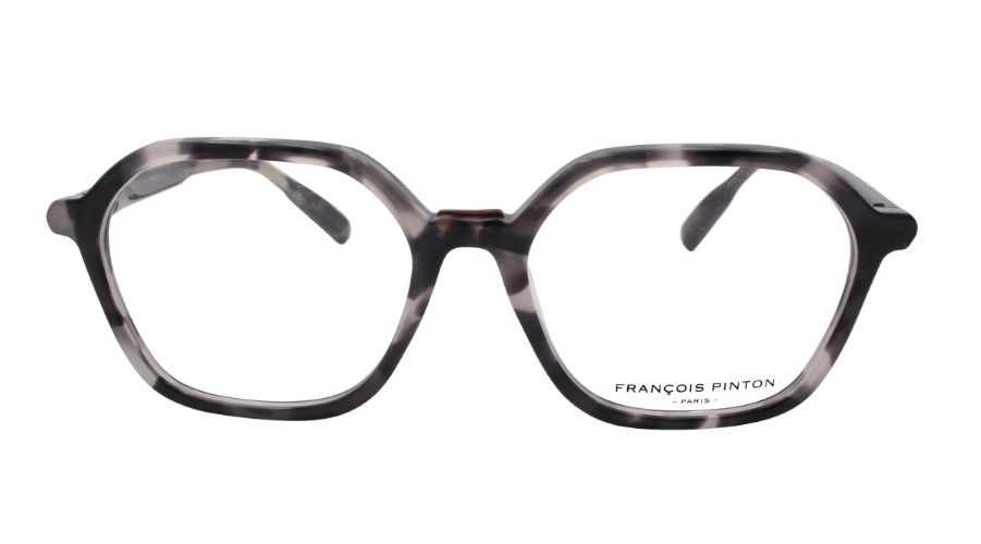 Horizon 03 Ni - Francois Pinton Eyeglasses image 0