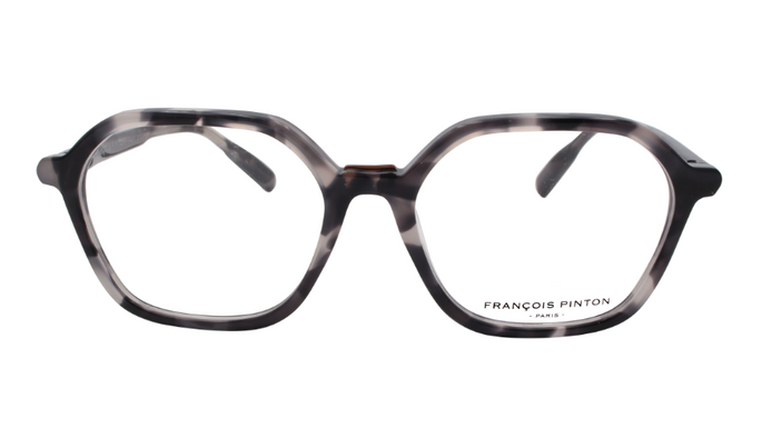 Horizon 03 Ni - Francois Pinton Eyeglasses image 0
