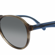 Chicago Mb - Francois Pinton Sunglasses image 0