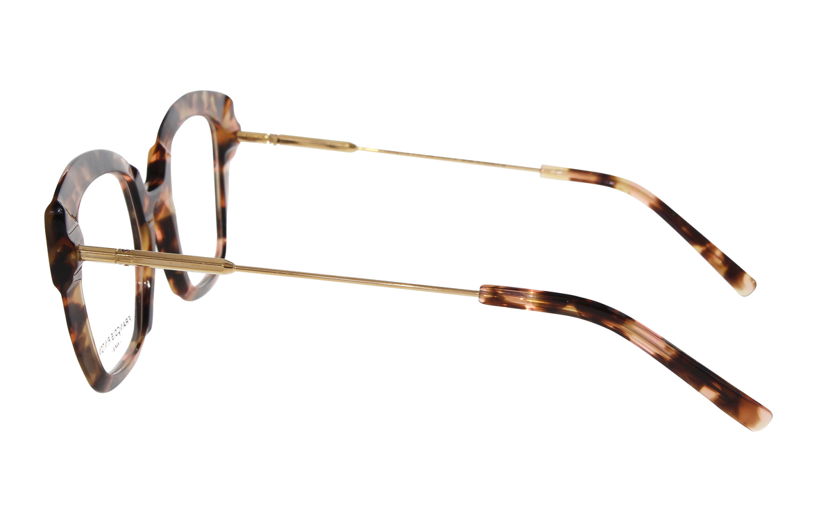 Aqua 05 Ze - Francois Pinton Eyeglasses image 2