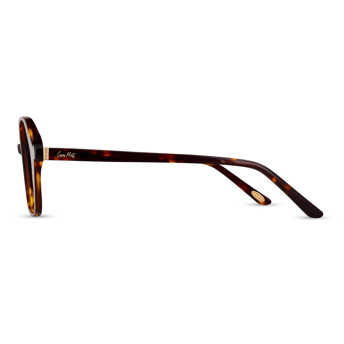 CM9145 - Cocoa Mint - Eyeglasses
