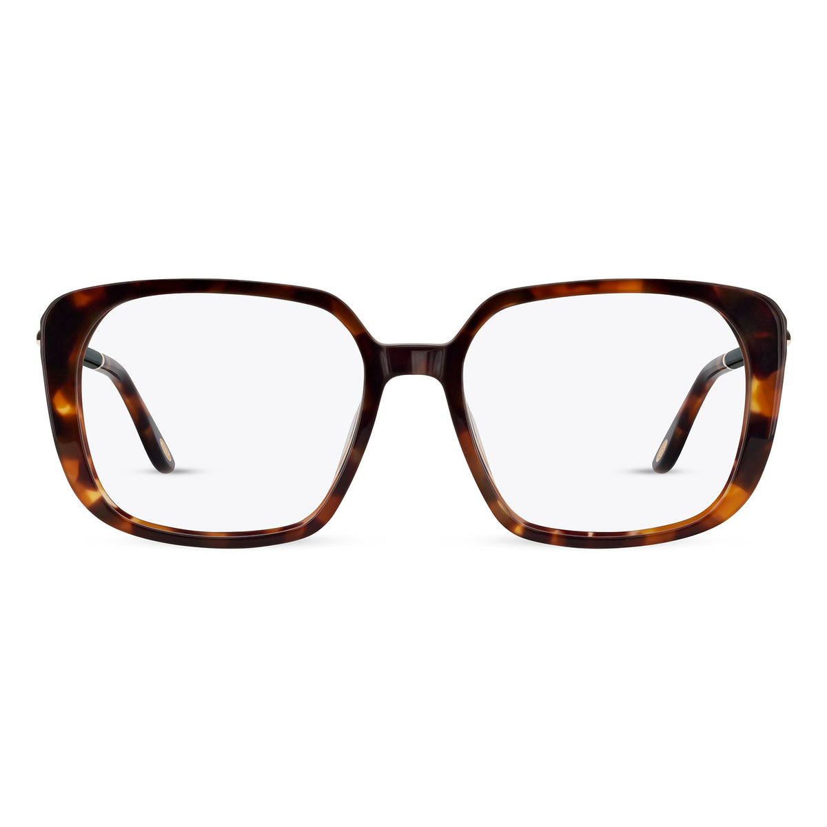 CM9176 C2 - Cocoa Mint - Eyeglasses - tortoise - front
