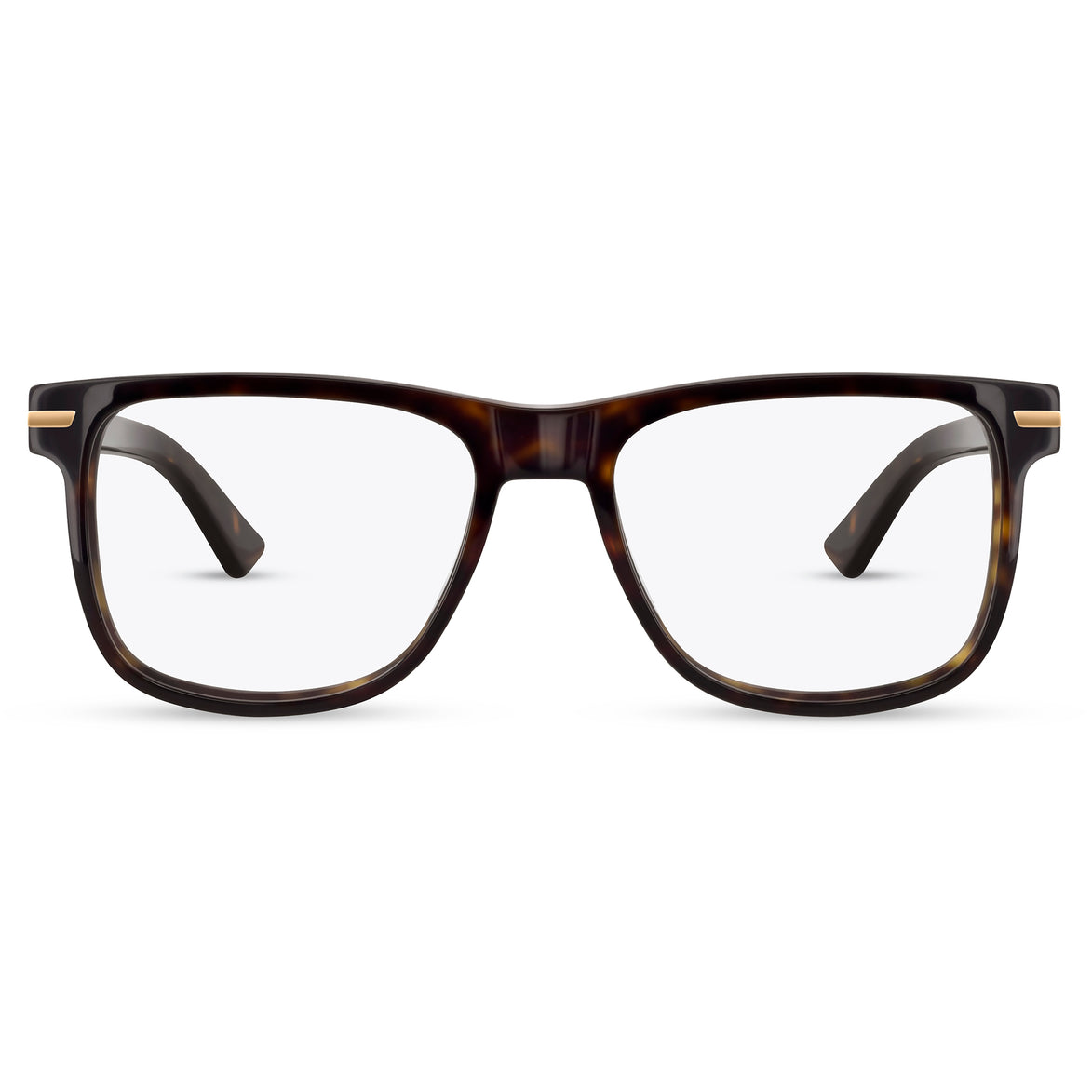 RR3055A - Range Rover - Eyeglasses - Tortoise- front