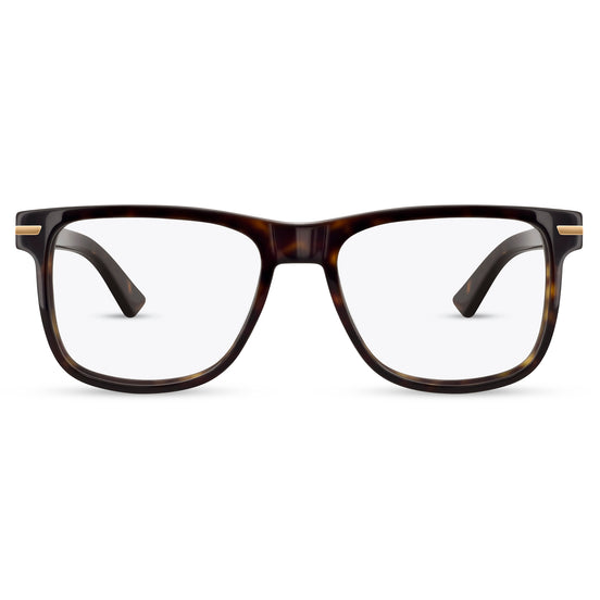RR3055A - Range Rover - Eyeglasses - Tortoise- front