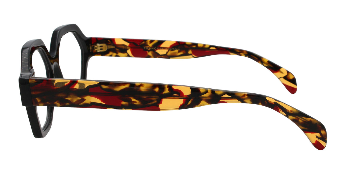 Newstory 9 Nr - Francois Pinton Eyeglasses image 2