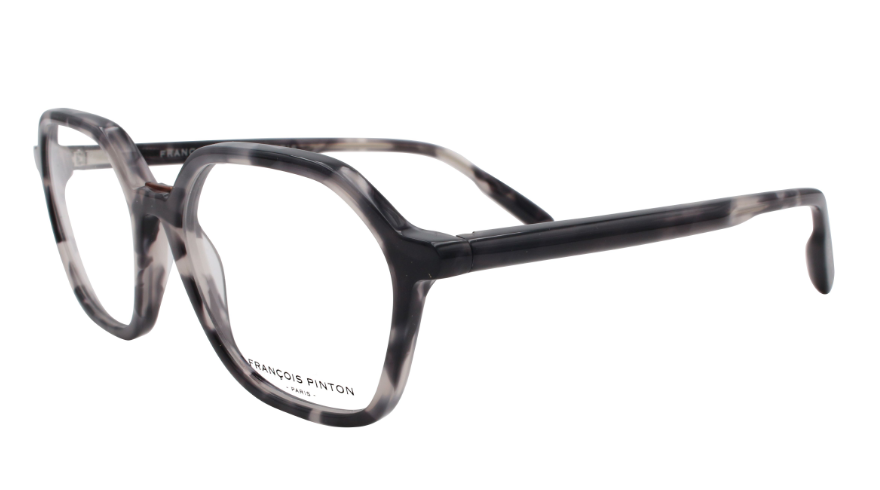 Horizon 03 Ni - Francois Pinton Eyeglasses image 1