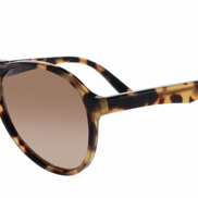Chicago Zz - Francois Pinton Sunglasses image 1