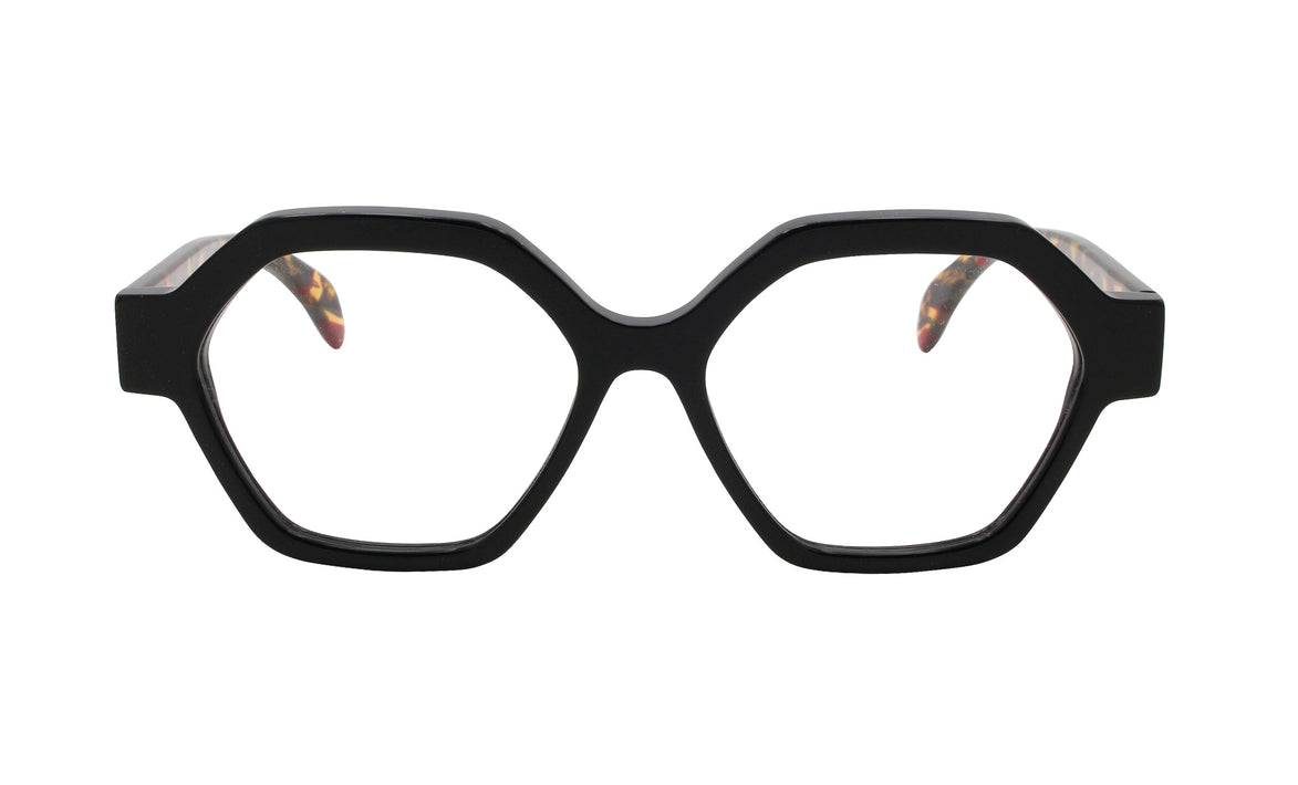 Newstory 9 Nr - Francois Pinton Eyeglasses image 0